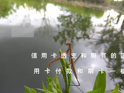 信用卡透支和刷寶的區(qū)別(支付寶信用卡付款和刷卡一樣嗎)