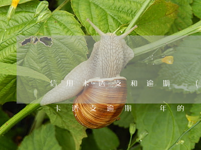 信用卡透支和逾期區(qū)別(有沒有信用卡透支逾期兩年的)