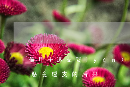 信用卡透支嚴(yán)重影響審批(信用卡惡意透支的后果)