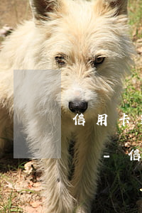 信用卡透支嚴(yán)重逾期還清還能用嗎-信用卡透支嚴(yán)重逾期還清還能用嗎知乎