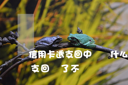 信用卡透支回中國會什么樣(在國外信用卡透支回國了不還)