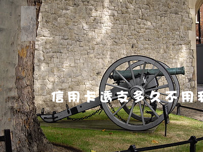 信用卡透支多久不用利息(信用卡不要利息嗎)