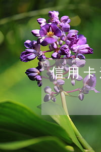 信用卡透支多久收滞纳金(银行信用卡滞纳金)