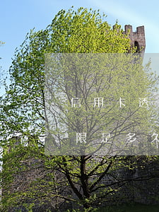 信用卡透支多久會催還款(信用卡透支還款期限是多久)