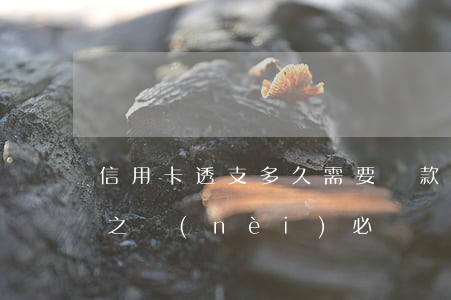 信用卡透支多久需要還款(信用卡透支后多久之內(nèi)必須還款)