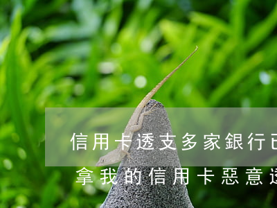 信用卡透支多家銀行已報(bào)案(朋友拿我的信用卡惡意透支報(bào)警)