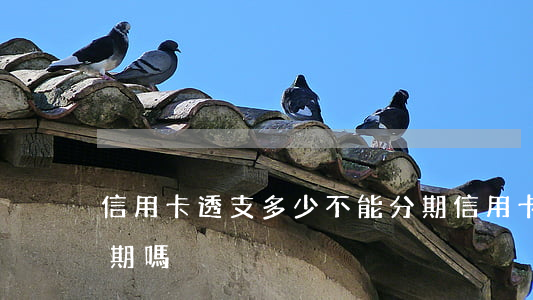信用卡透支多少不能分期(信用卡借款可以分期嗎)
