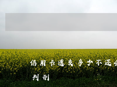 信用卡透支多少不还会判刑(欠信用卡多少会判刑)