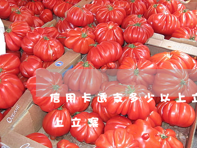 信用卡透支多少以上立案(信用卡透支多少以上立案)