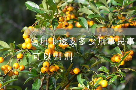 信用卡透支多少刑事民事(信用卡透支多少錢可以判刑)
