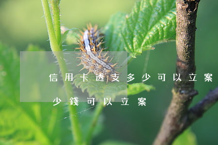 信用卡透支多少可以立案(信用卡惡意透支多少錢可以立案)