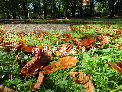 信用卡透支多少為詐騙(信用卡透支多少為詐騙)