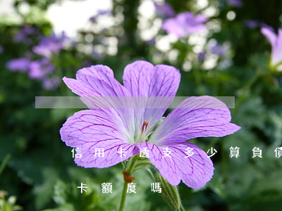 信用卡透支多少算負債過高(負債高影響信用卡額度嗎)