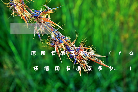 信用卡透支多少負(fù)刑事責(zé)任(信用卡透支多少負(fù)刑事責(zé)任)