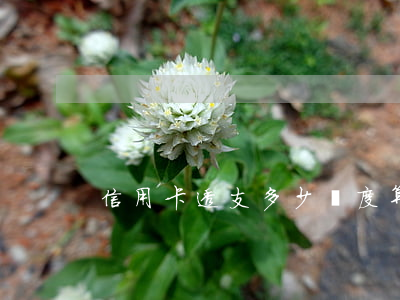 信用卡透支多少額度算詐騙