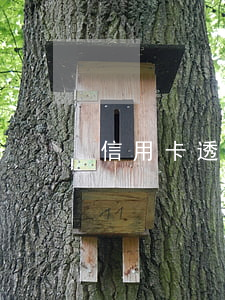 信用卡透支太多买房能过吗