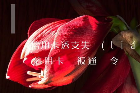 信用卡透支失聯(lián)會被通緝嗎(欠信用卡會被通緝令嗎)