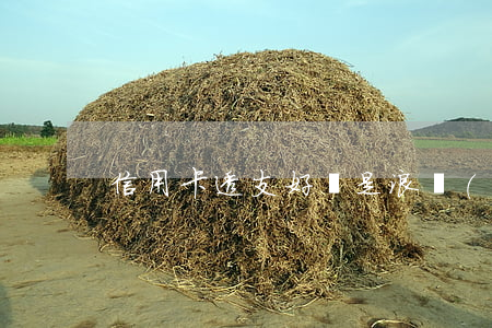 信用卡透支好還是浪費(fèi)好