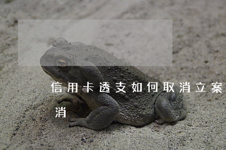 信用卡透支如何取消立案(信用卡怎么才能取消)