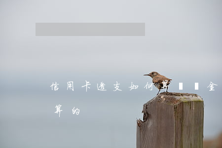 信用卡透支如何算滯納金(信用卡滯納金怎么算的)