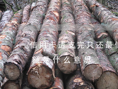 信用卡透支完只还最低(信用卡透支最低还款额是什么意思)