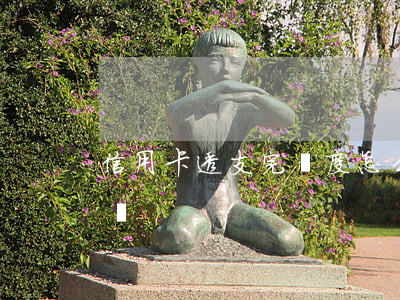 信用卡透支完額度怎么還(信用卡透支了怎么還)