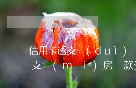 信用卡透支對(duì)貸款影響(信用卡透支買(mǎi)房貸款受影響嗎)