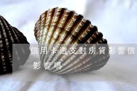 信用卡透支對房貸影響(信用卡負債對房貸有影響嗎)