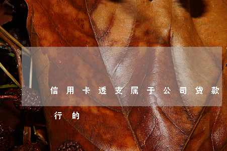信用卡透支属于公司贷款(信用卡透支属于银行的)