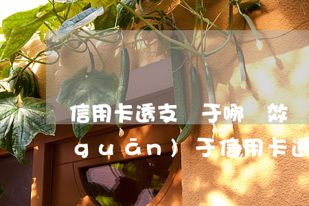 信用卡透支屬于哪種效應(yīng)(關(guān)于信用卡透支的說法正確的是)