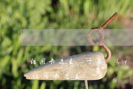 信用卡透支屬于商業(yè)信用么(什么是信用卡透支?)
