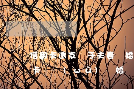 信用卡透支屬于夫妻離婚嗎(夫妻間很多信用卡債務(wù),離婚協(xié)議)