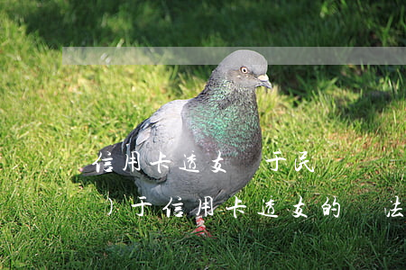 信用卡透支屬于民間糾紛(下列關(guān)于信用卡透支的說法正確)