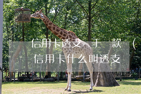 信用卡透支屬于貸款業(yè)務(wù)(信用卡什么叫透支)