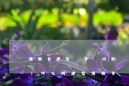 信用卡透支屬于銀行的業(yè)務(wù)(什么叫透支信用卡)