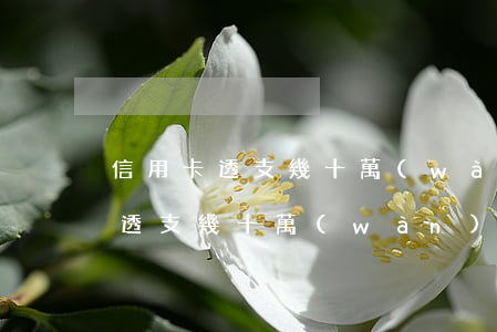 信用卡透支幾十萬(wàn)還不了(信用卡透支幾十萬(wàn)還不了怎么辦)