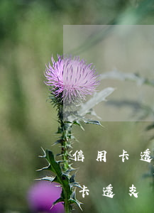 信用卡透支幾十萬無力償還會判刑嗎-信用卡透支幾十萬無力償還會判刑嗎知乎