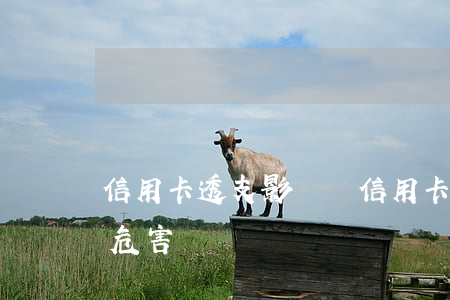 信用卡透支影響辦信用卡嗎(辦信用卡有什么危害嗎)