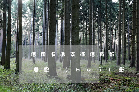 信用卡透支征信有影響嗎(信用卡透支是什么意思,會(huì)影響征信嗎)