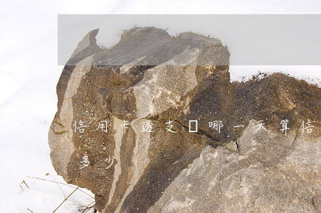 信用卡透支從哪一天算(信用卡透支一天利息多少)