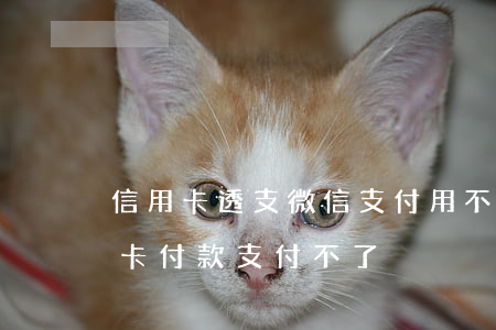 信用卡透支微信支付用不了(為什么微信信用卡付款支付不了)