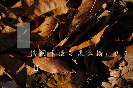 信用卡透支怎么借1000(如何從信用卡借錢)