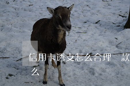 信用卡透支怎么合理還款(信用卡透支的錢怎么還)