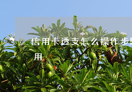 信用卡透支怎么操作步驟(信用卡透支卡怎么用)