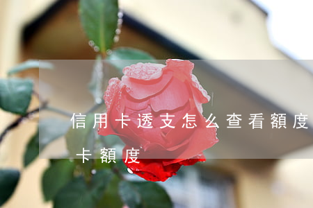 信用卡透支怎么查看額度(怎么查看銀行信用卡額度)