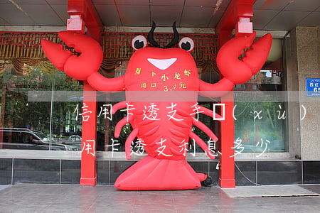 信用卡透支手續(xù)費和利息(什么是信用卡透支利息多少)