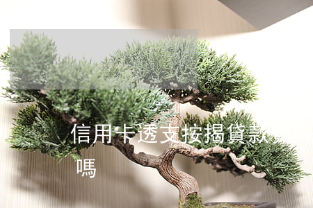信用卡透支按揭貸款買房(信用卡透支算貸款嗎)