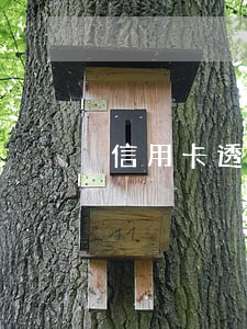 信用卡透支收利息什么方式(透支卡收利息嗎)