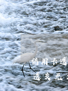 信用卡透支无力偿还本人又被拘押-信用卡透支无力偿还本人又被拘押怎么办