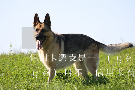 信用卡透支是一個(gè)月一還嗎(一個(gè)月不還信用卡有什么后果)